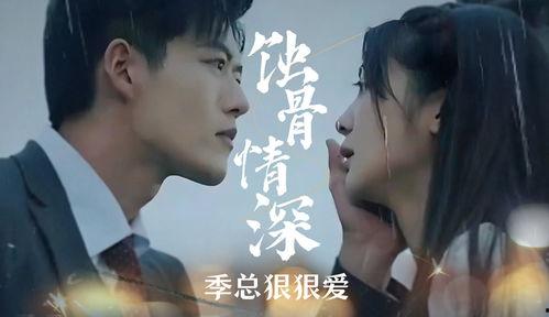 蚀骨情深季总狠狠爱,季总的无尽宠爱与深情演绎